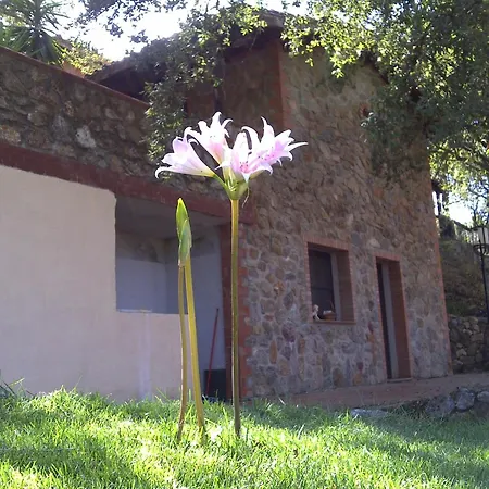 Летний дом Agriturismo La Quercia *