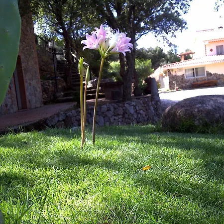 Casa di campagna La Quercia Arbus