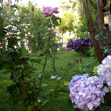 בית כפרי La Quercia ארבוס