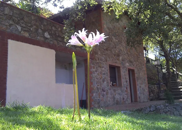 Kır Evi La Quercia *