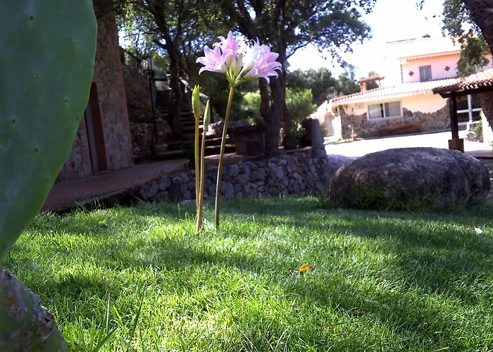 Kır Evi La Quercia Arbus