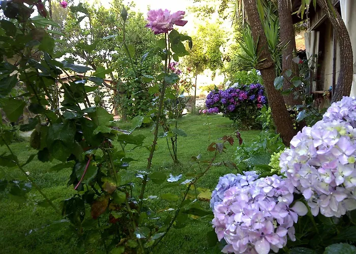 Kır Evi La Quercia Arbus
